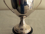 the-binbrook-cup